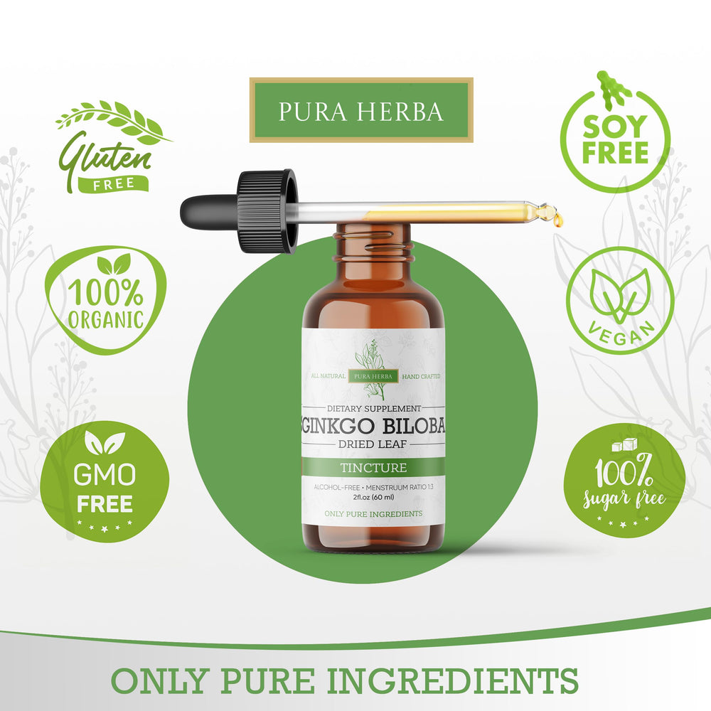 Organic Ginkgo Biloba leaves used to create the liquid extract