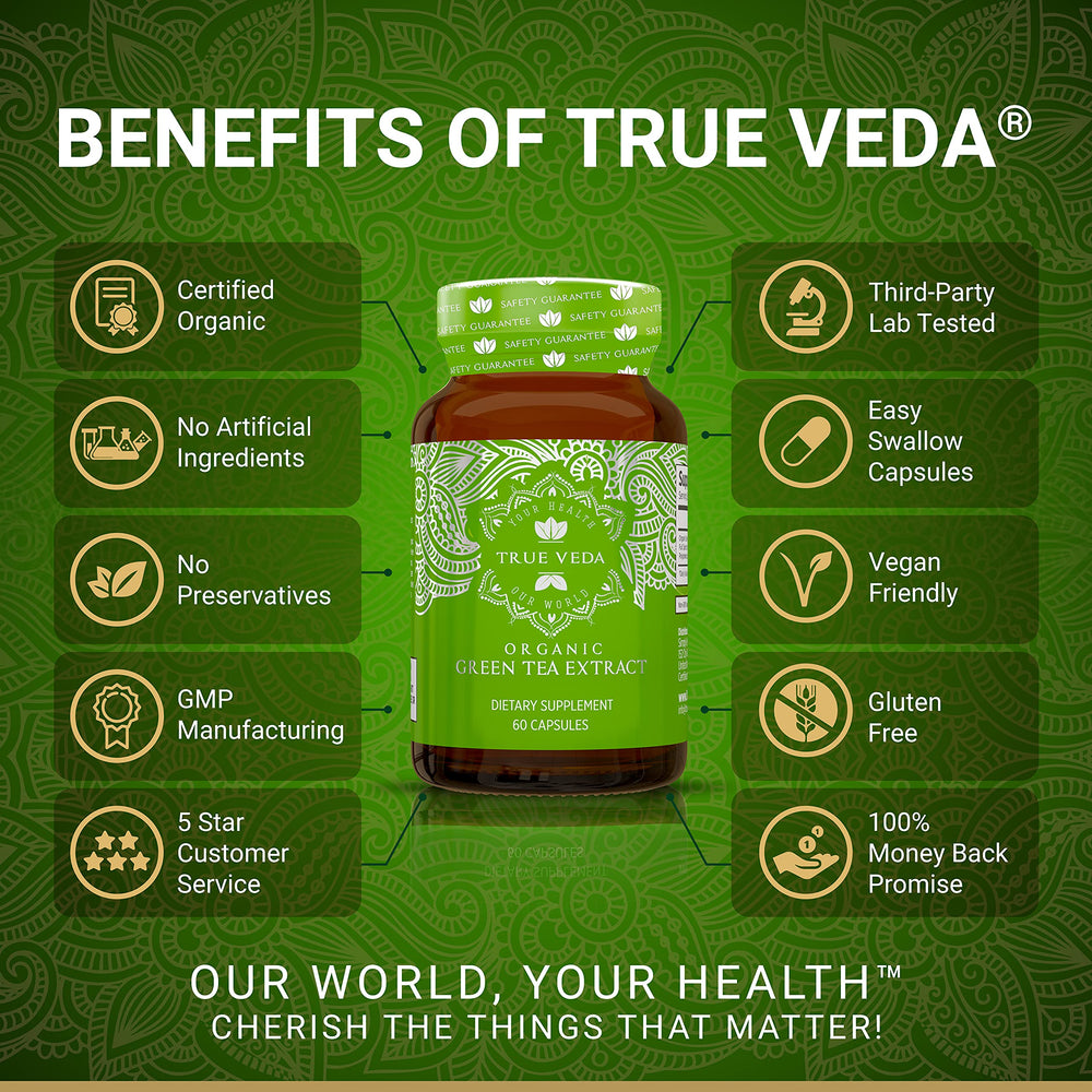 Back view of Organic Green Tea Extract Capsules bottle