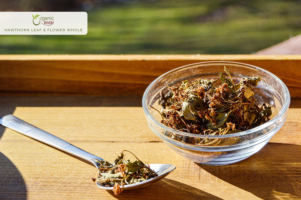 Close-up of dried Hawthorn leaves and flowers for tea