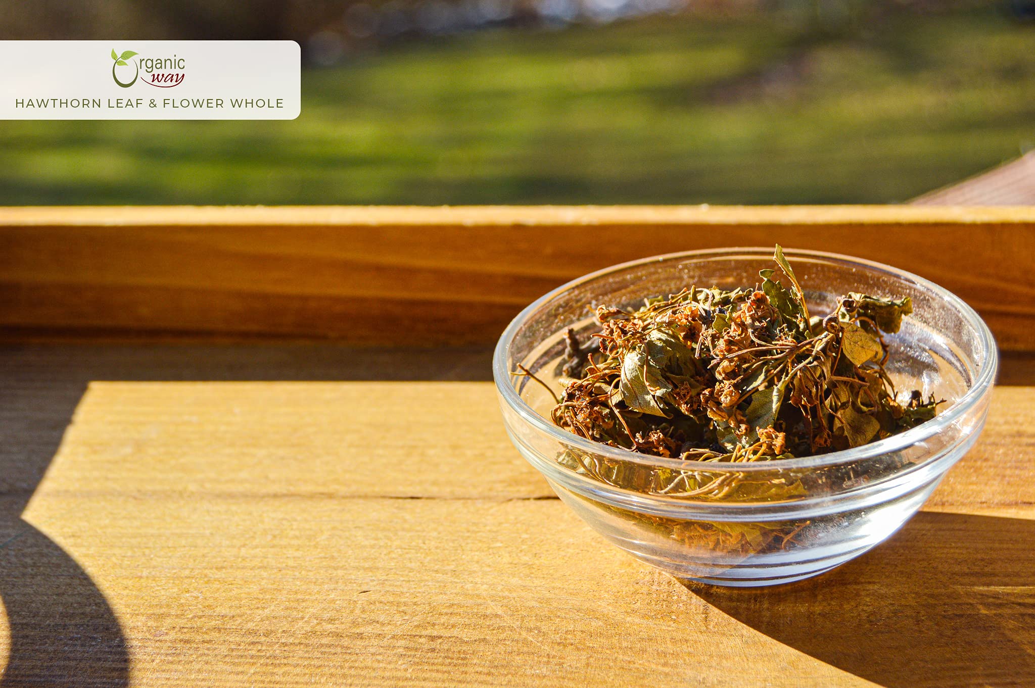 Hawthorn leaf and flower whole arranged for display