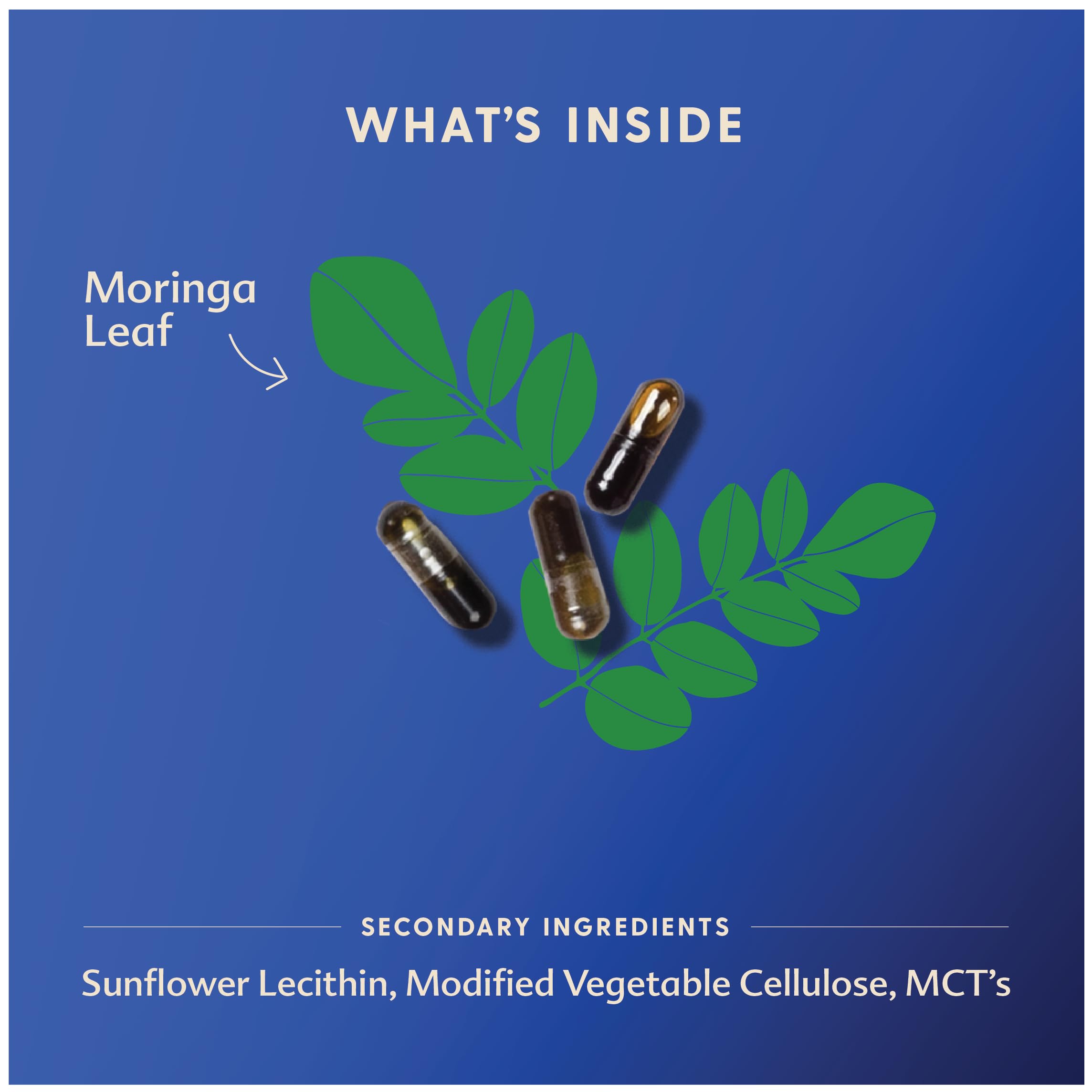 Organic herbs and ingredients used in Motherlove Moringa formula