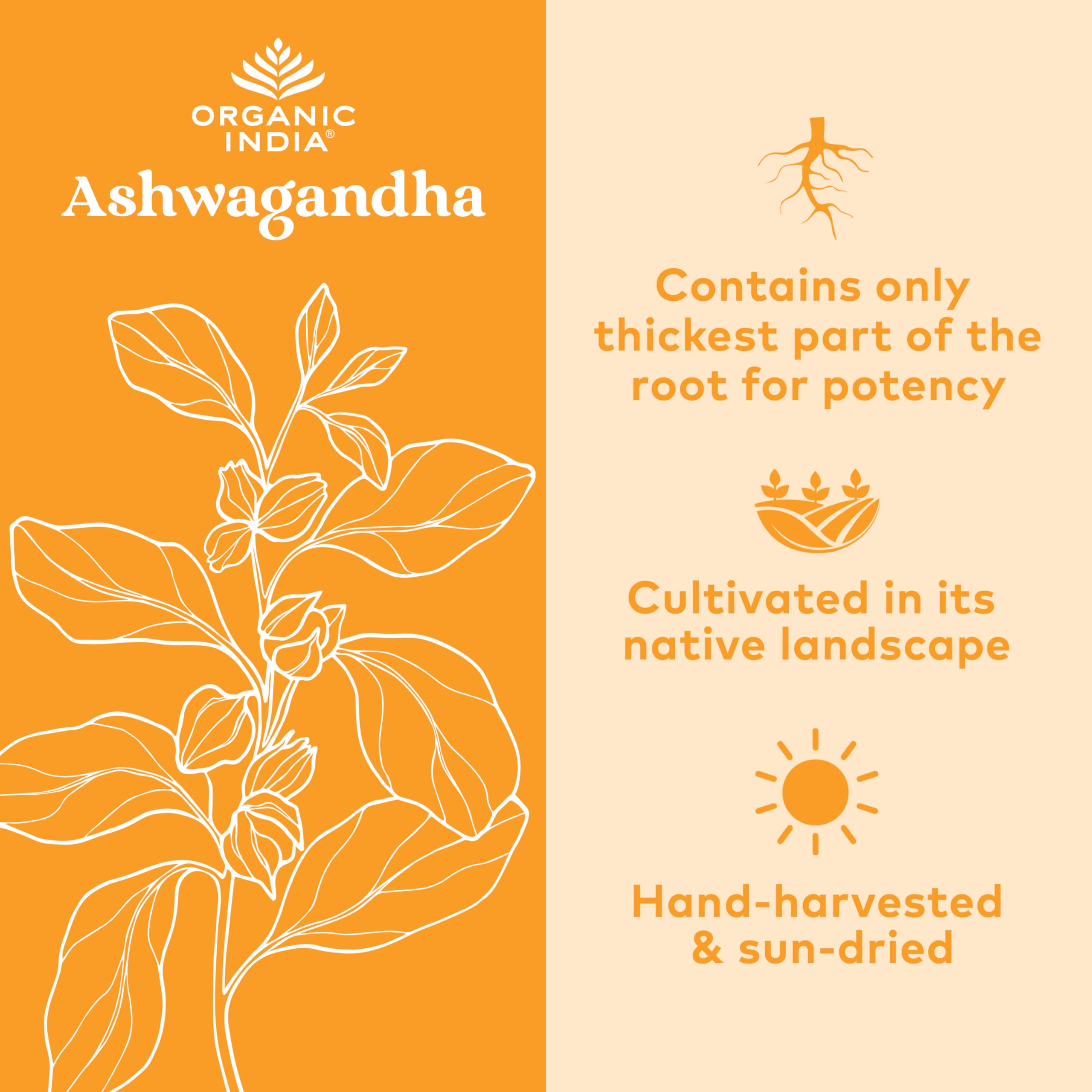 Ashwagandha capsules illustrating stress relief benefits