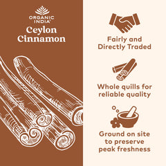 Close-up of cinnamon capsules