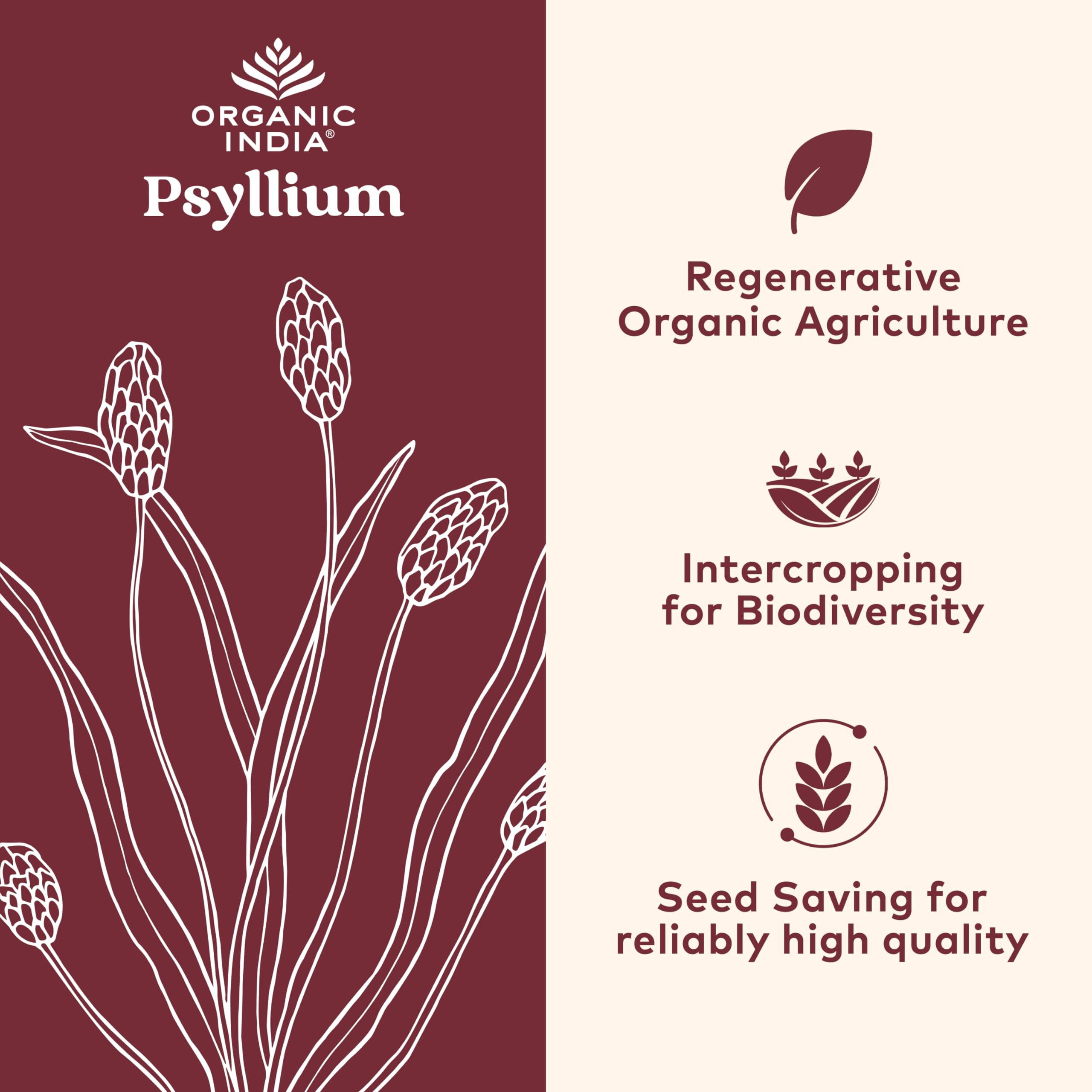 Psyllium husk capsules inside the bottle