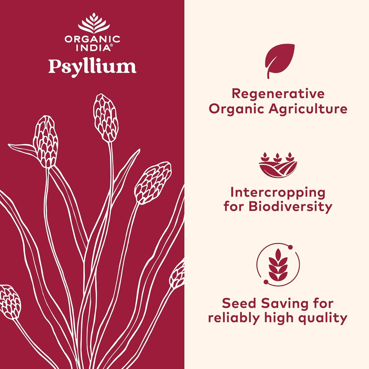 Close-up of ORGANIC INDIA psyllium powder texture suitable for smoothies.