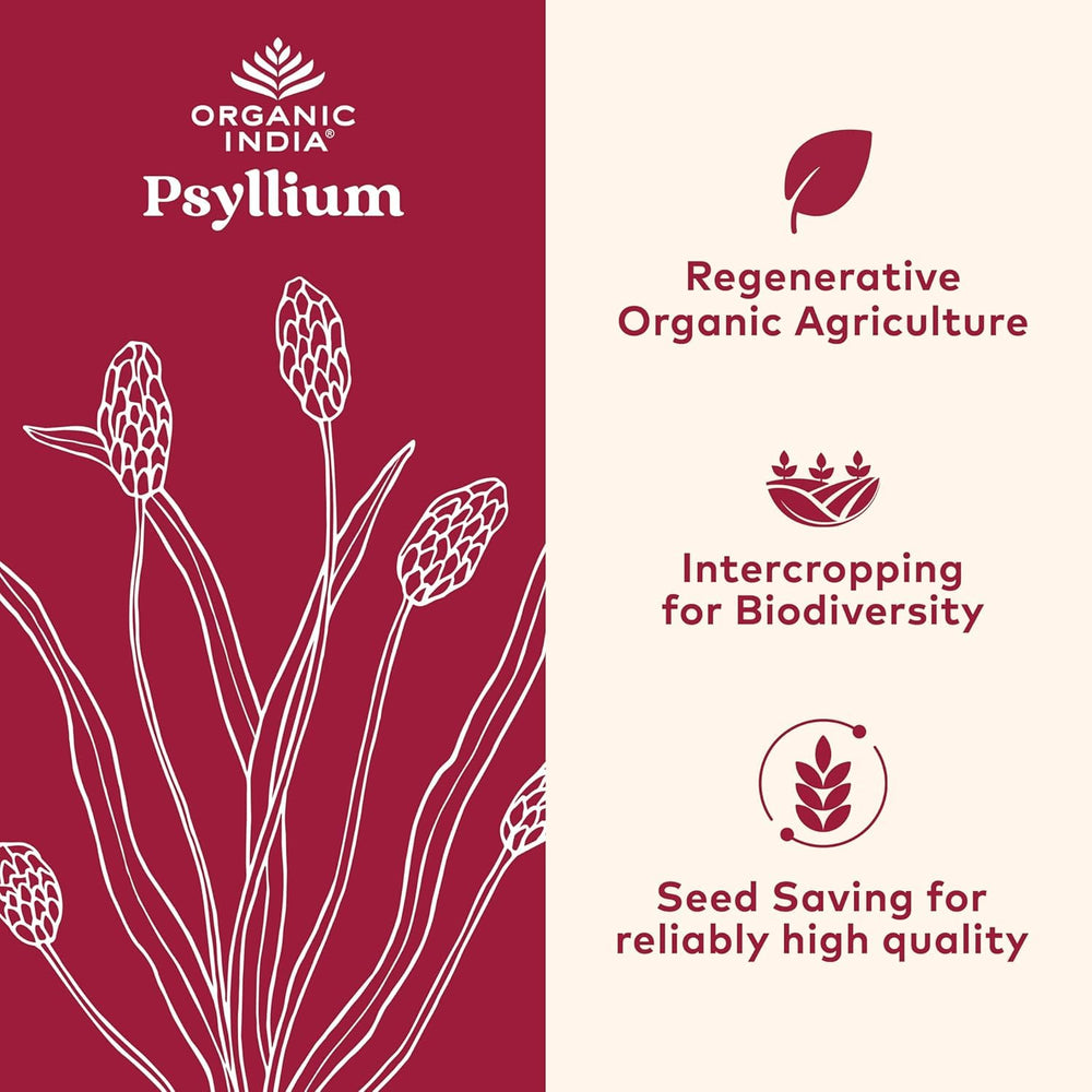 Close-up of ORGANIC INDIA psyllium powder texture suitable for smoothies.