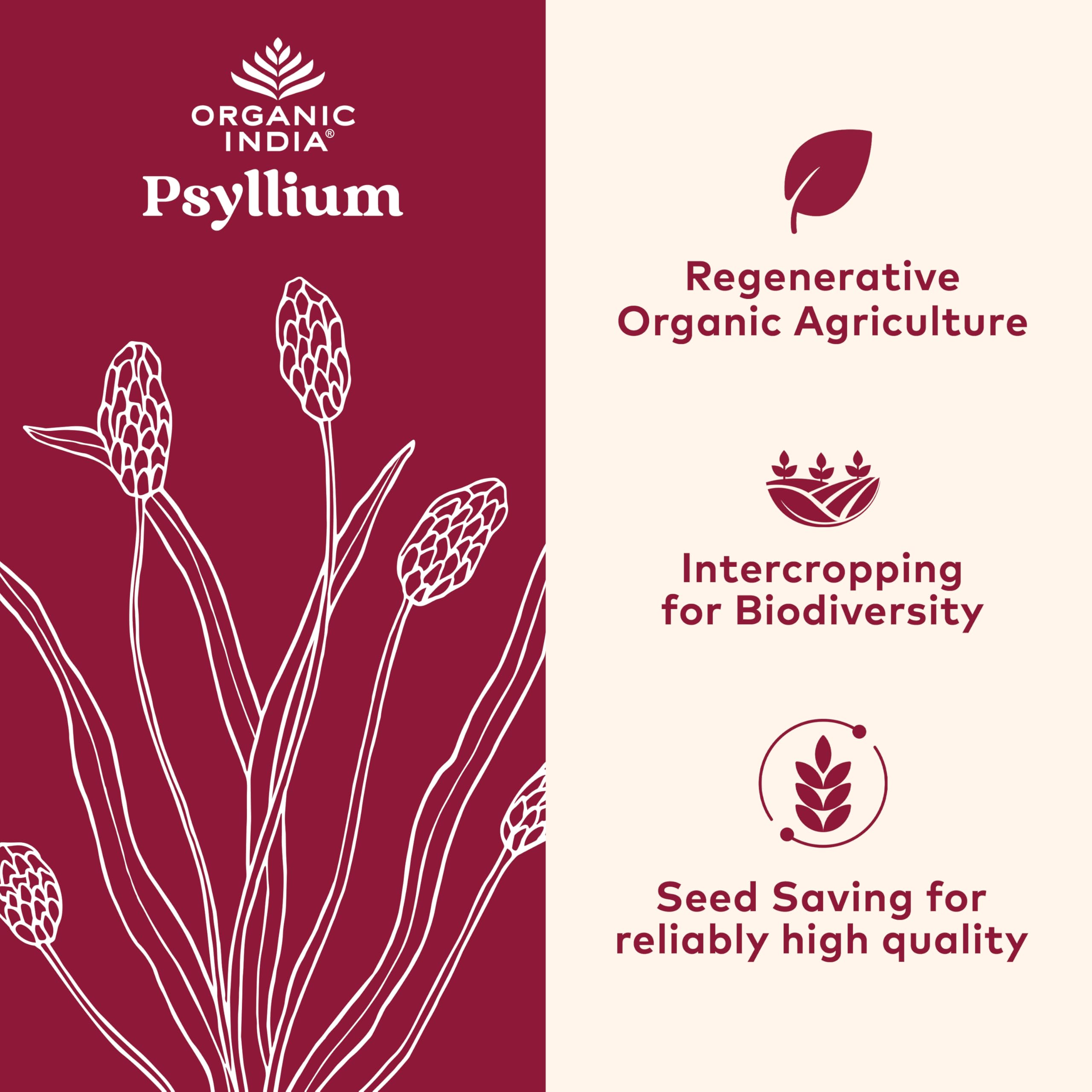 Organic India Psyllium powder fine grain scoop demonstrates quick blending.
