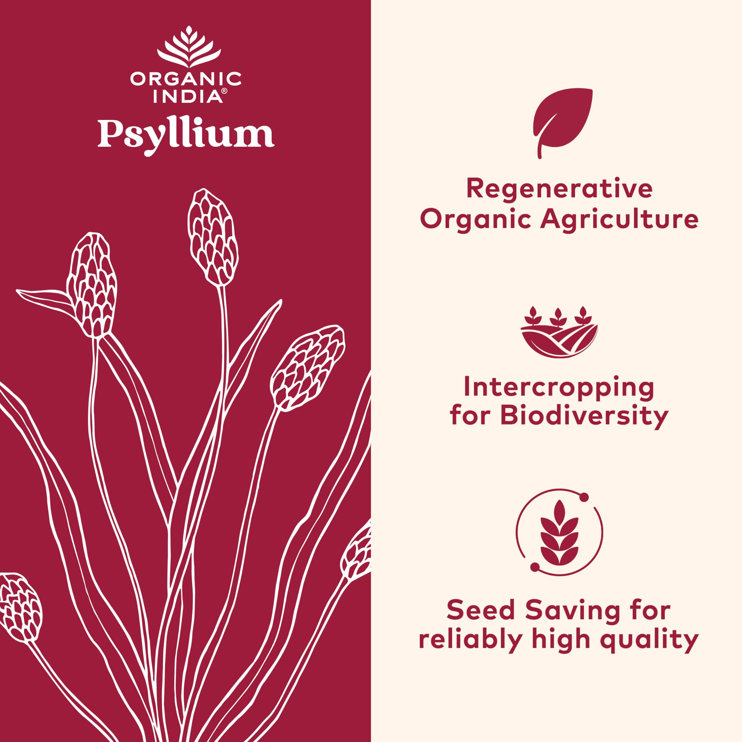 Close-up of Organic India psyllium husk fiber powder label