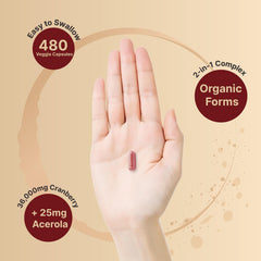 Organic ingredients and sugar-free formula label on cranberry pills