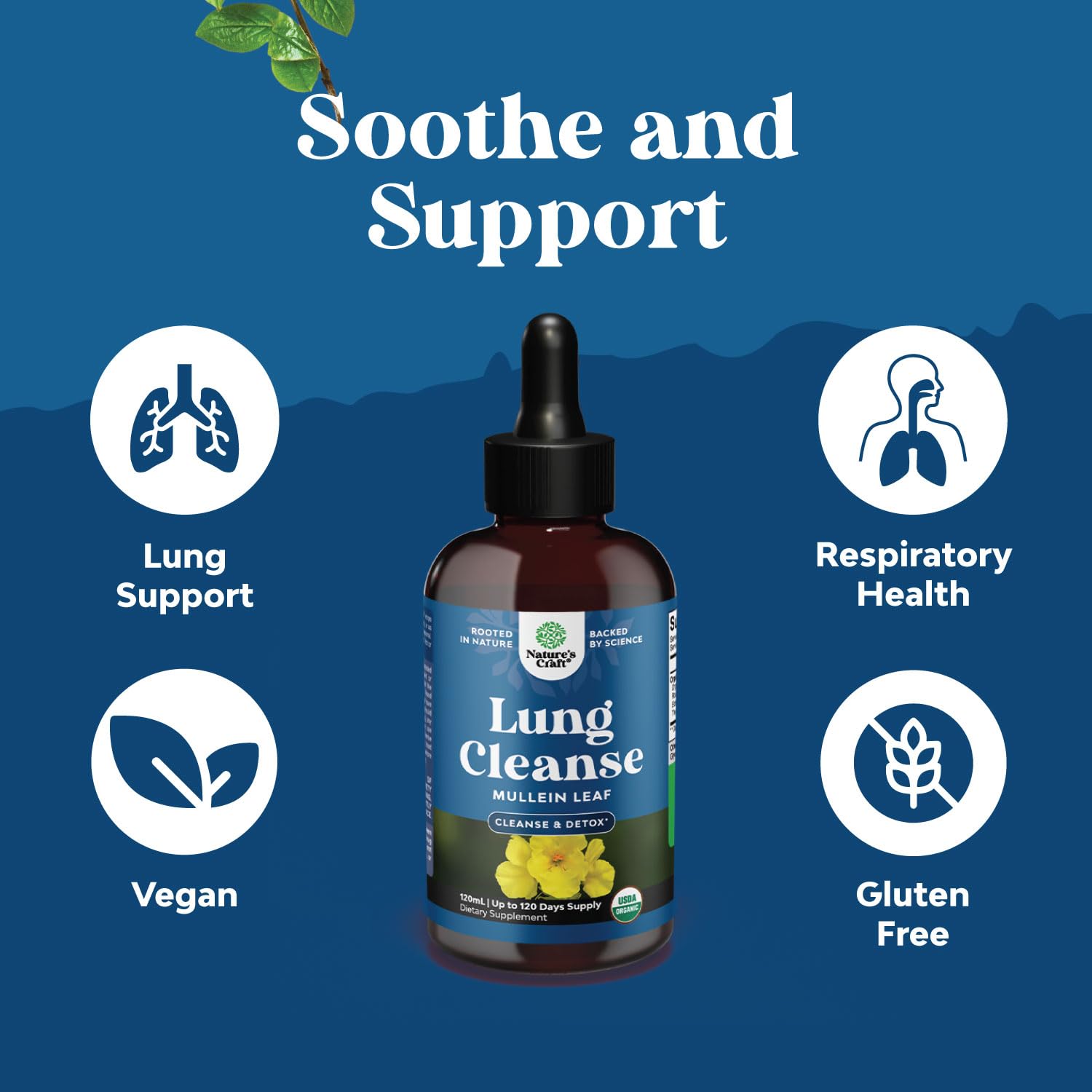 Blend of orange peel, elderberry and thyme tincture