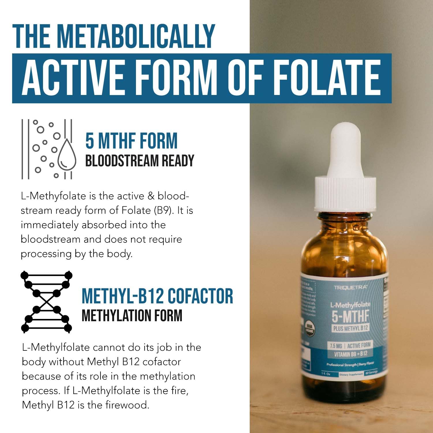 Graphic highlighting brain mood energy support from methylfolate and B12