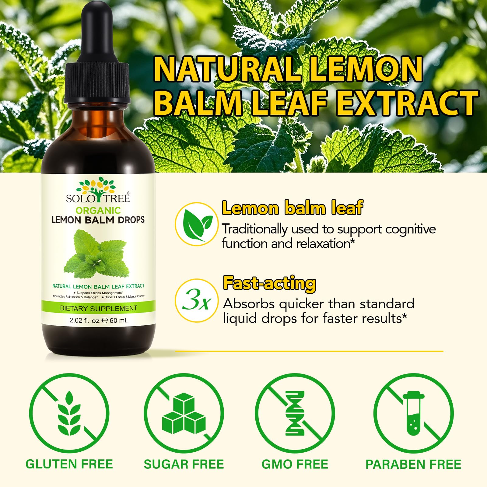 Liquid lemon balm extract tincture bottle