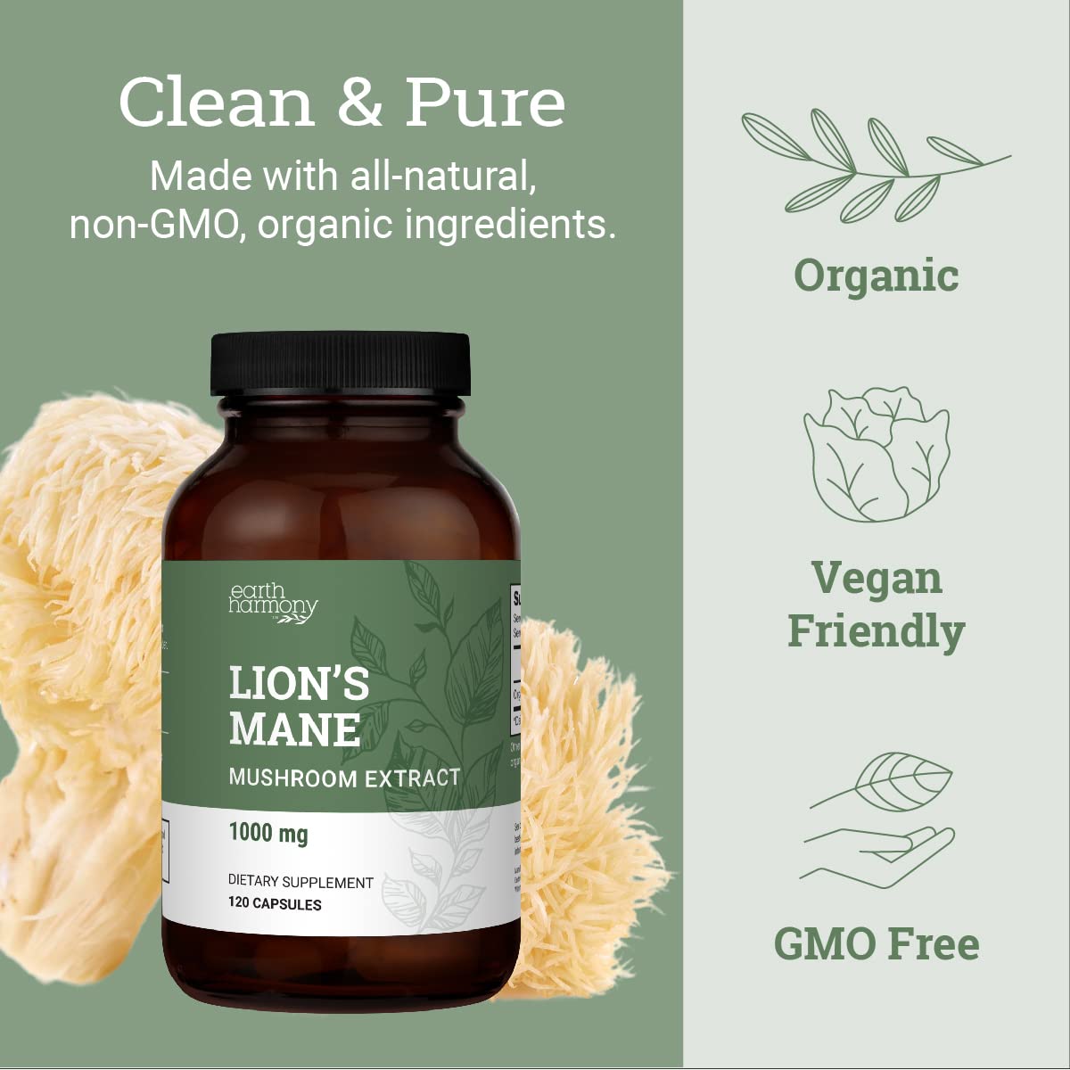 Organic lion’s mane extract ingredients label