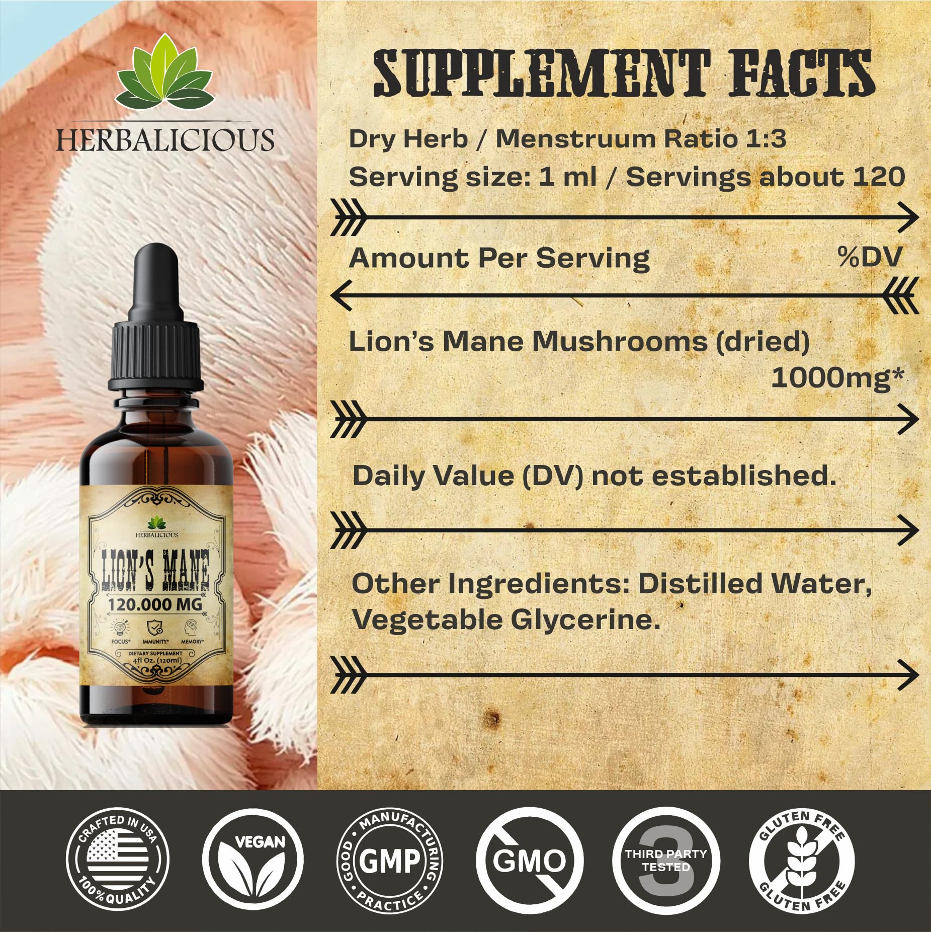 Organic Lions Mane mushroom close-up