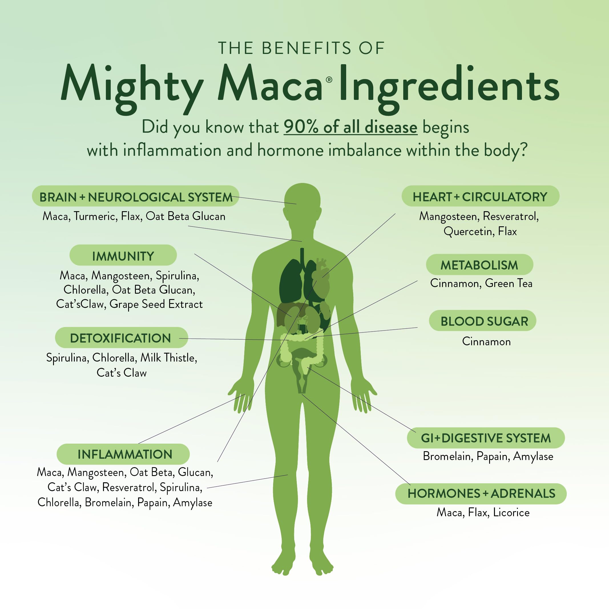 Organic maca root, turmeric and greens ingredients