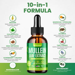 Organic mullein leaf extract label