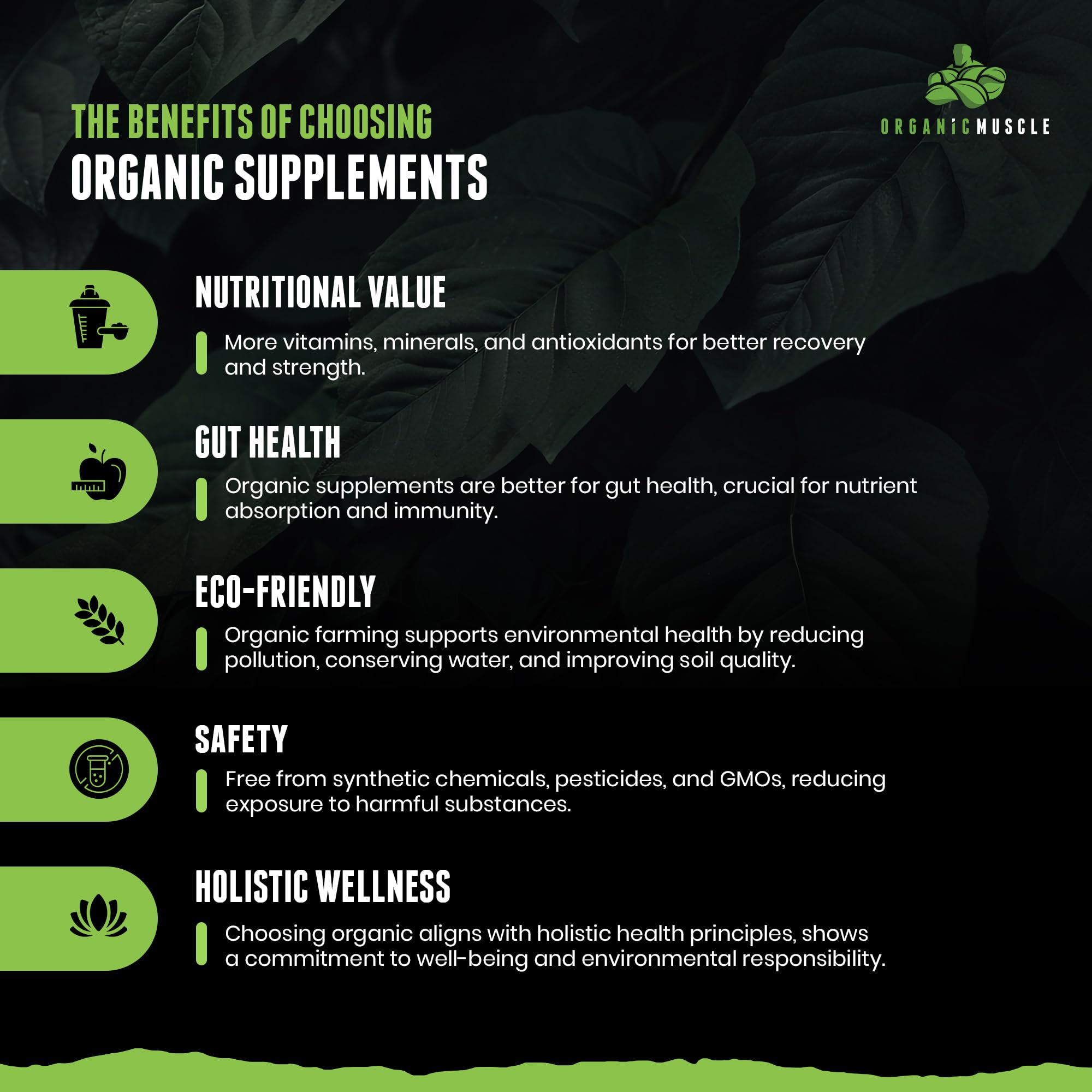 Organic Muscle lemon-berry ingredients reveal 20 superfoods supporting endurance and recovery.