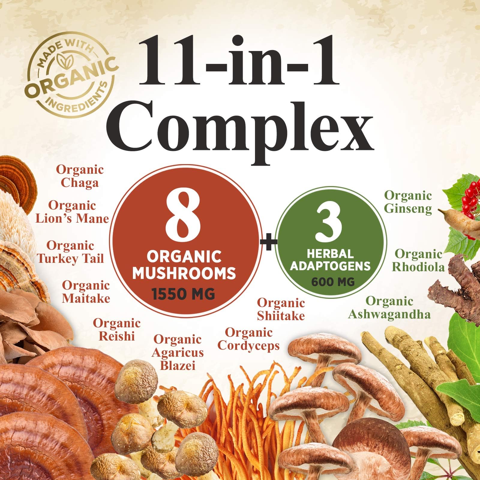 Organic mushroom fruiting body extracts used in the powder