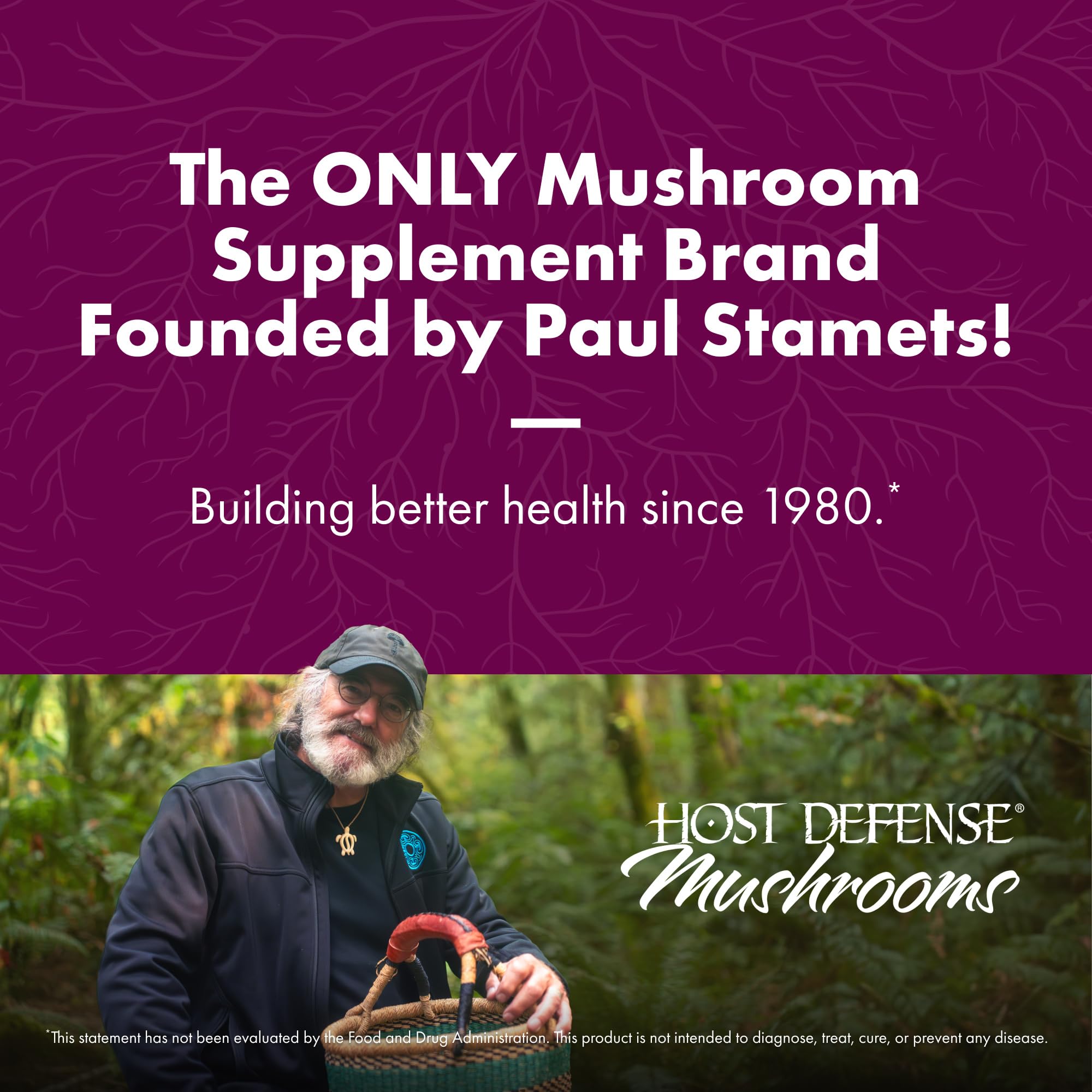 Organic mushroom mycelium on brown rice substrate