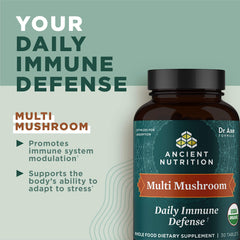 Organic mushroom blend for immune health (6 varieties)