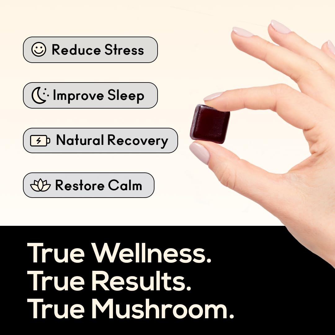 Organic functional mushrooms used in gummies: Reishi, Lion’s Mane, Cordyceps, and Shiitake