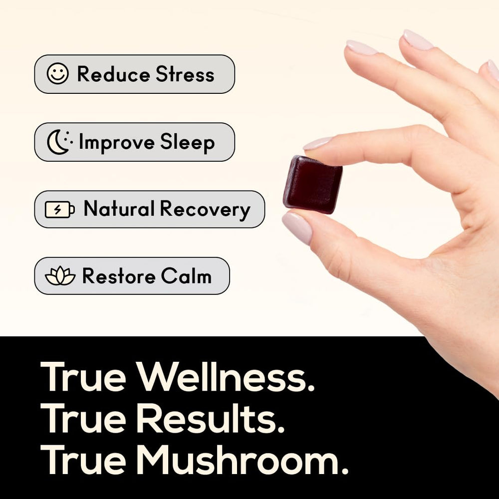 Organic functional mushrooms used in gummies: Reishi, Lion’s Mane, Cordyceps, and Shiitake