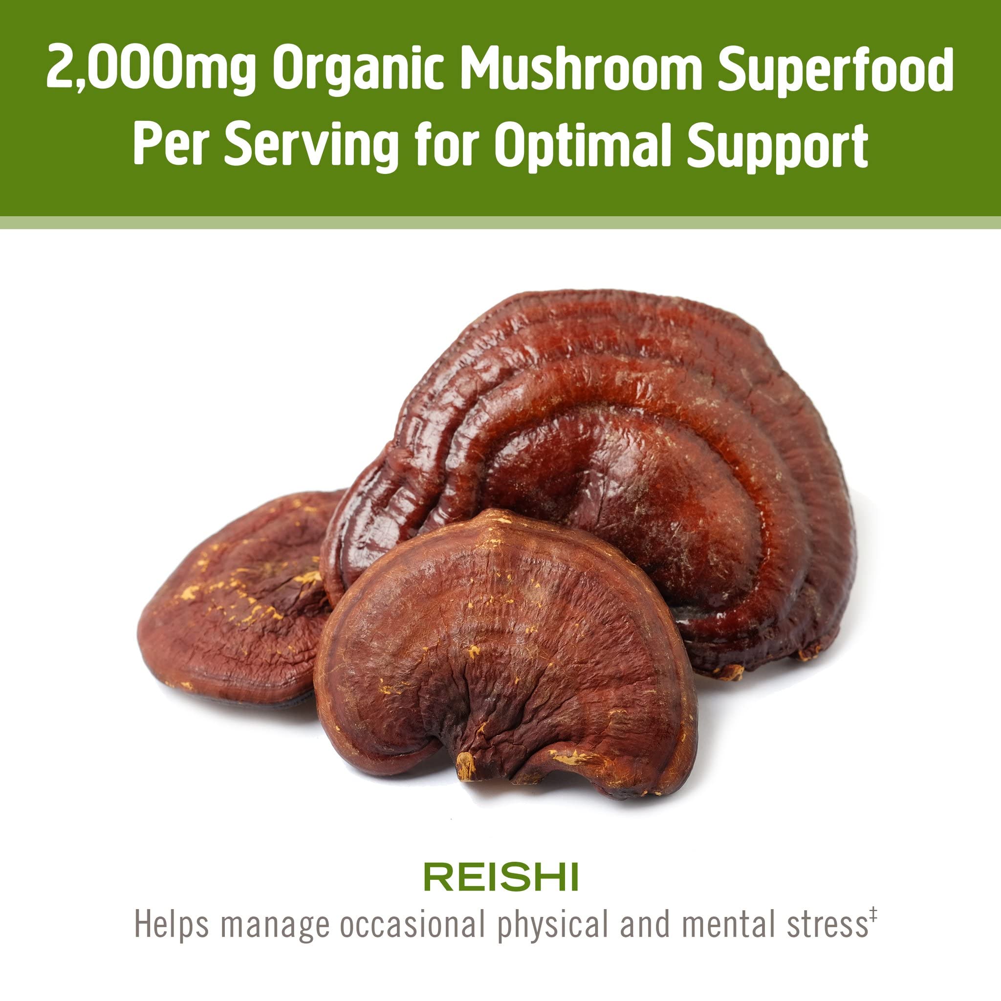 Organic mycelial biomass and fruiting body reishi powder