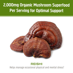 Organic mycelial biomass and fruiting body reishi powder