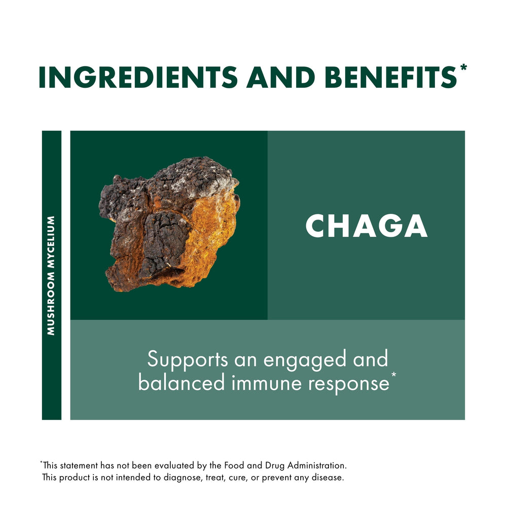 Organic, non-GMO, gluten-free mushroom supplement