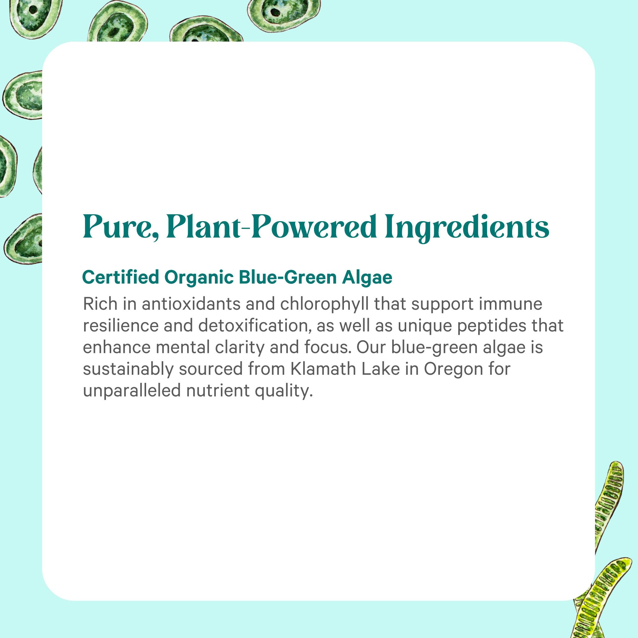 Icons for Organic, Non-GMO, Vegan, and Gluten-Free certifications