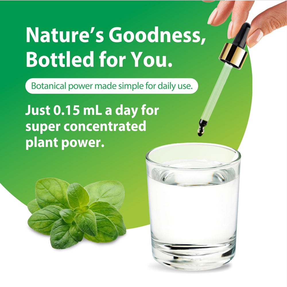 Organic olive oil base used in oregano oil extract