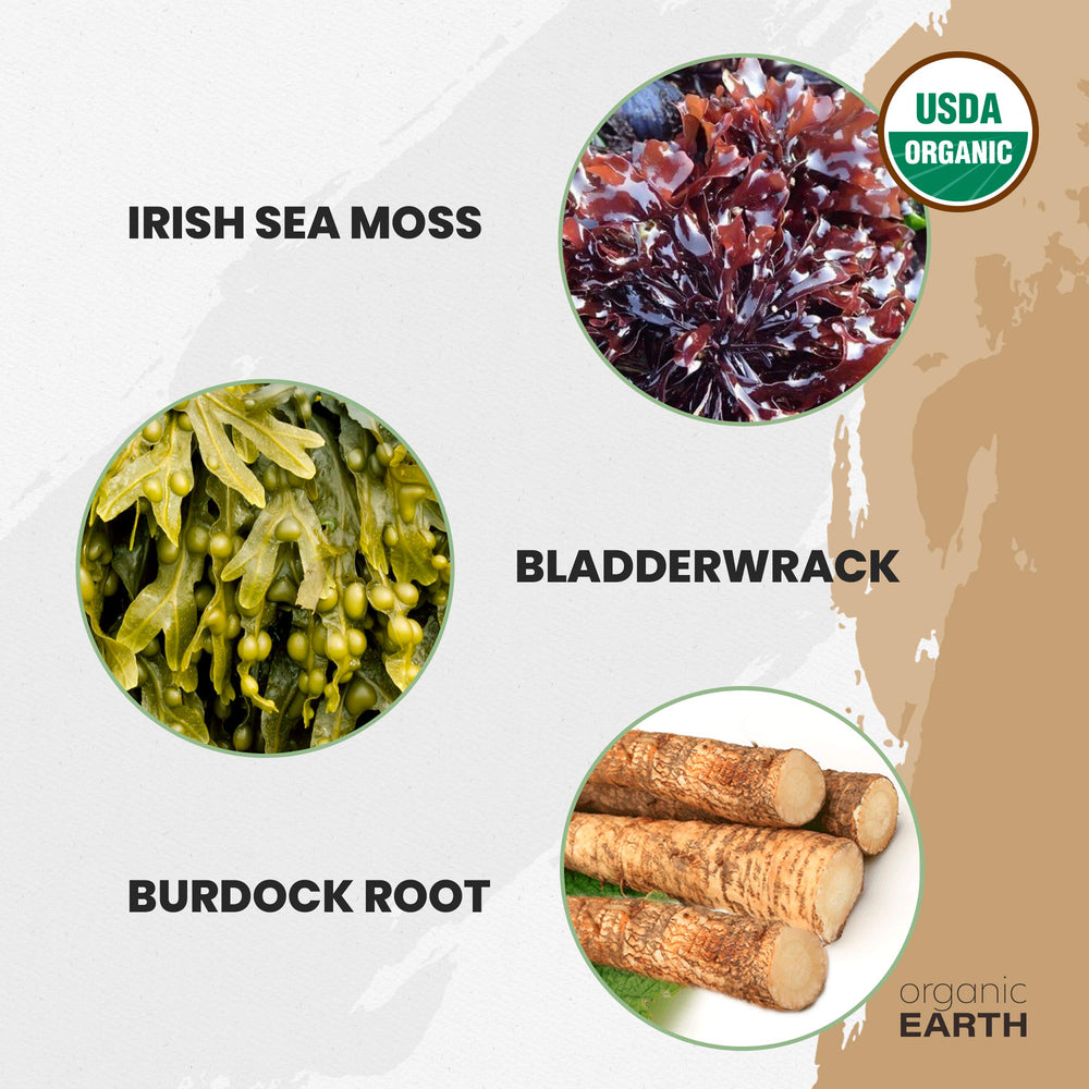 Nutrition facts label for Organic Sea Moss powder