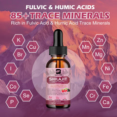 Organic Shilajit resin with 85+ minerals concept