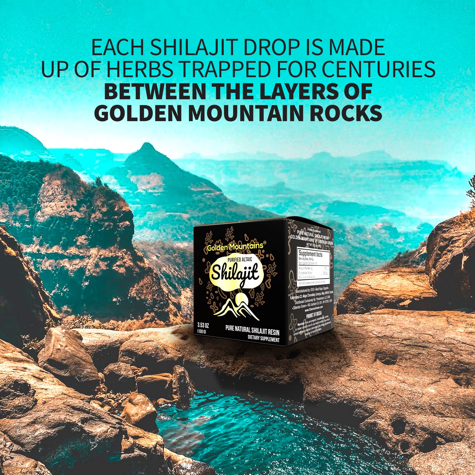 Organic Siberian Shilajit Resin 100g