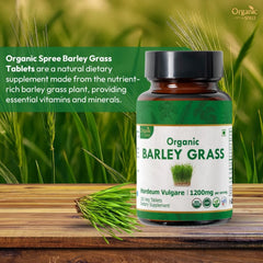 Nutrition facts for Organic Spree Barley Grass Tablets