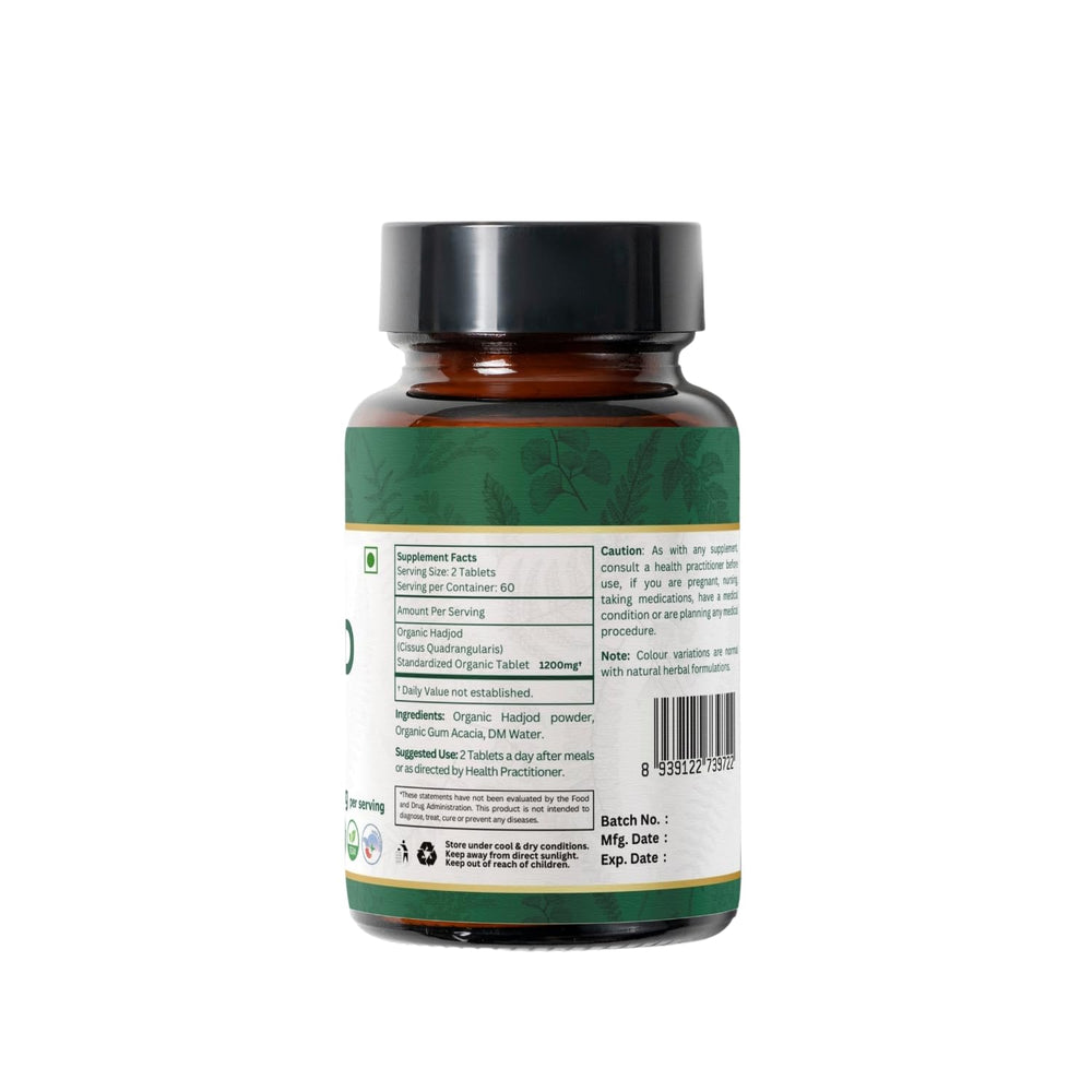 Illustration of Cissus quadrangularis plant (Hadjod)