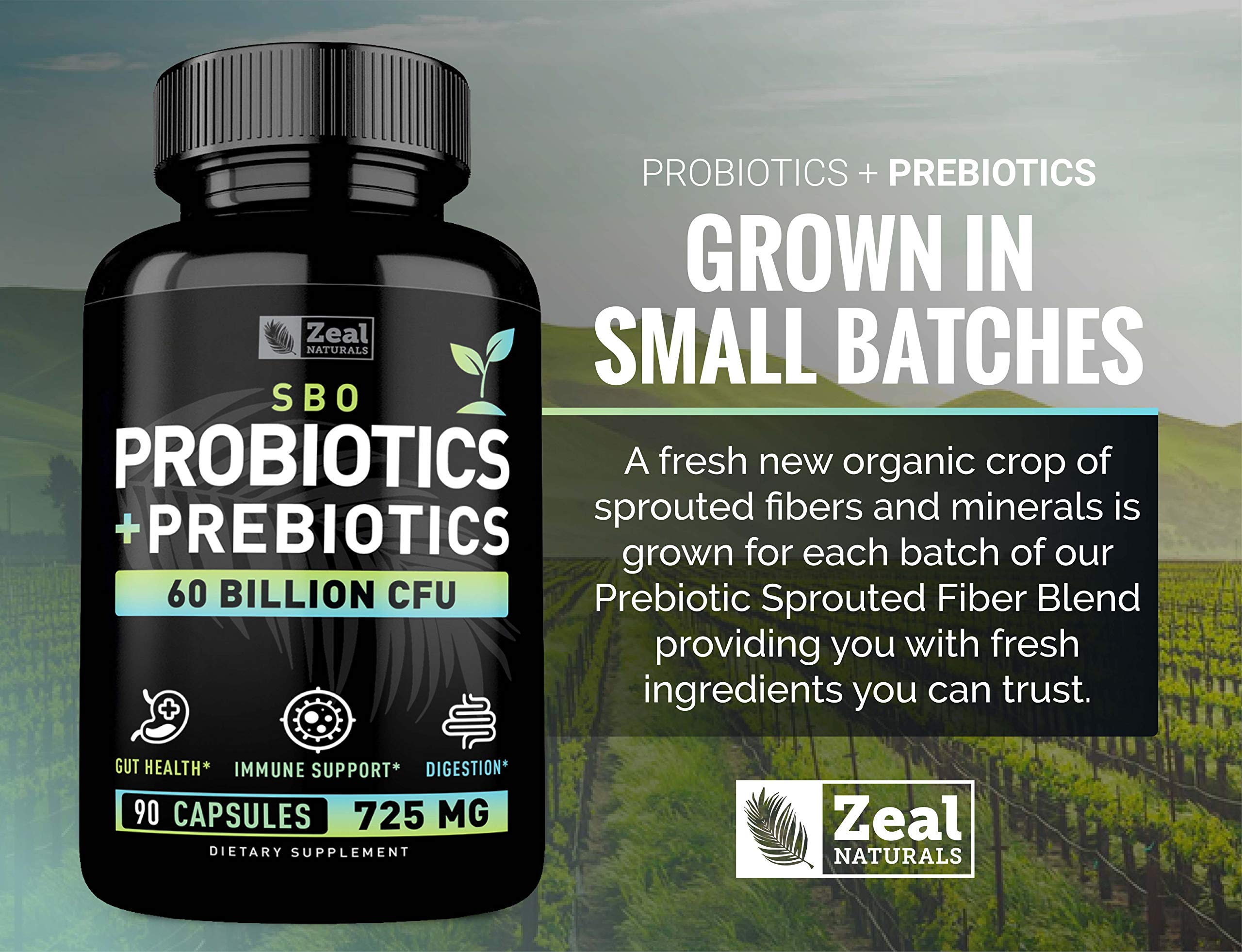 Organic sprouted prebiotic fiber blend ingredients