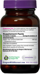Organic True Cinnamon Ceylon inner bark image