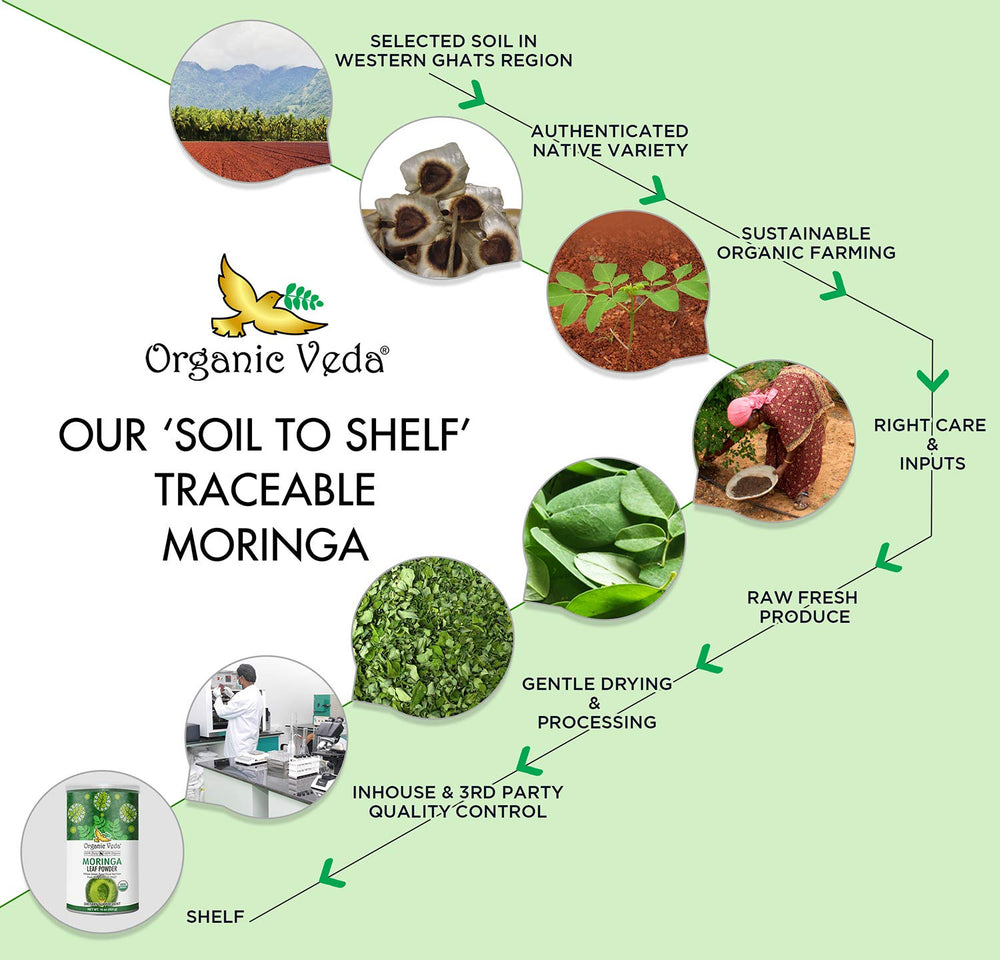 Wellness concept for energy and immune support