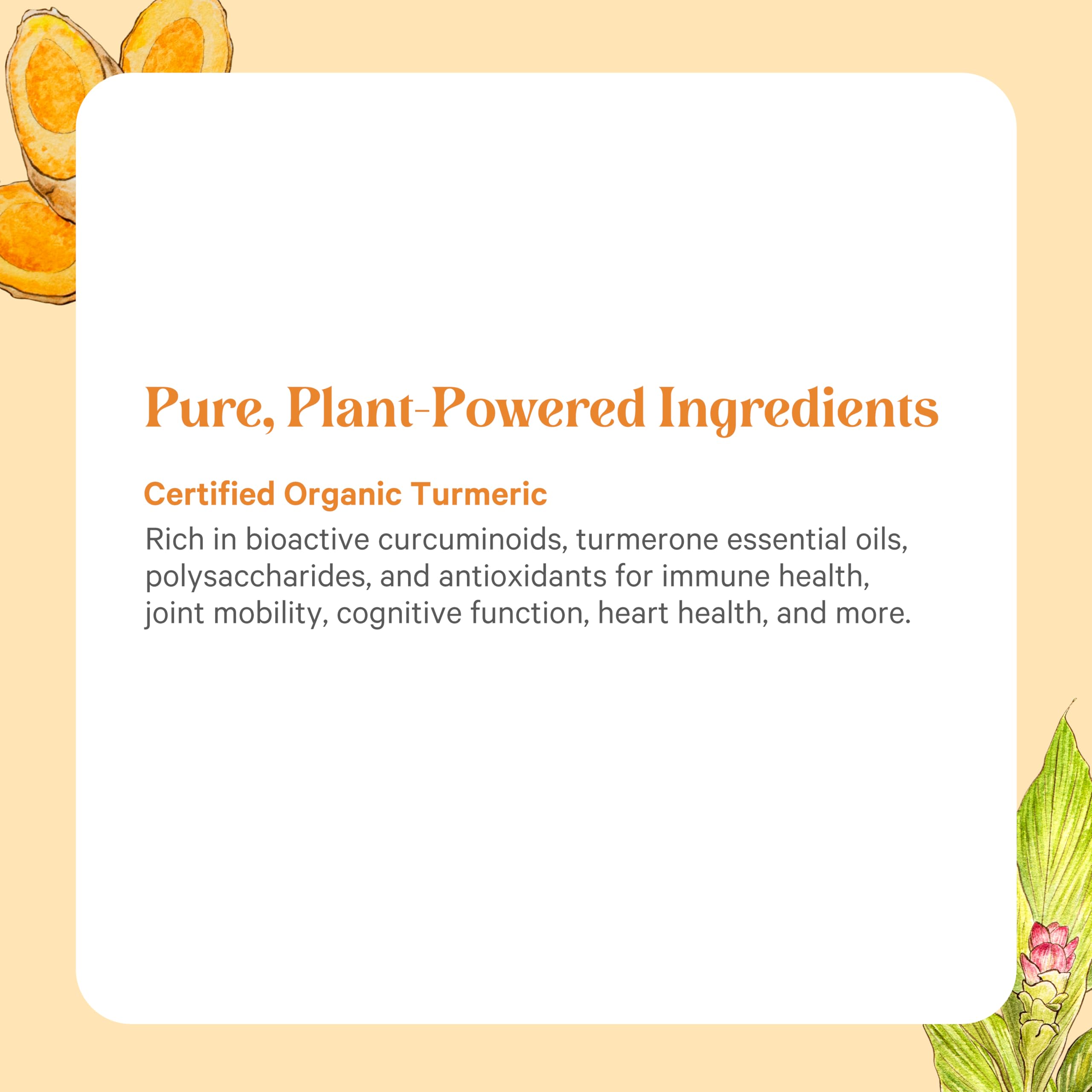 Icons for organic, vegan, non-GMO and gluten-free attributes