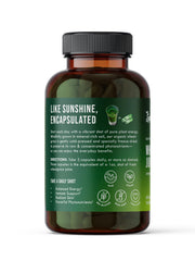 Close-up of organic wheatgrass juice powder capsules