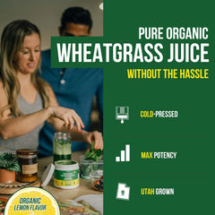 Close-up of cold-pressed Wheatgrass Juice Powder concentrate