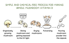 Label highlighting organic whole mushroom ingredients.