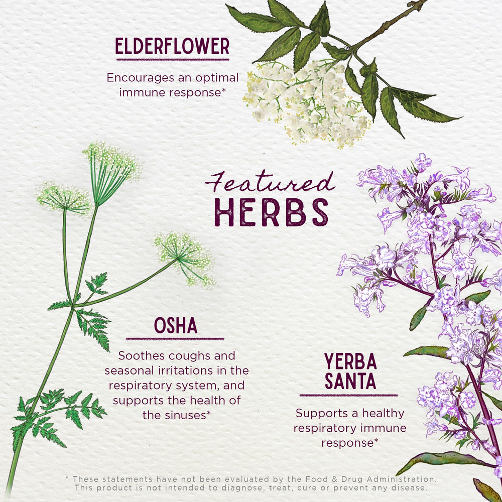 Organic and wild-harvested ingredients used in Kick-It Immune for Kids