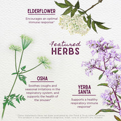Organic and wild-harvested ingredients used in Kick-It Immune for Kids