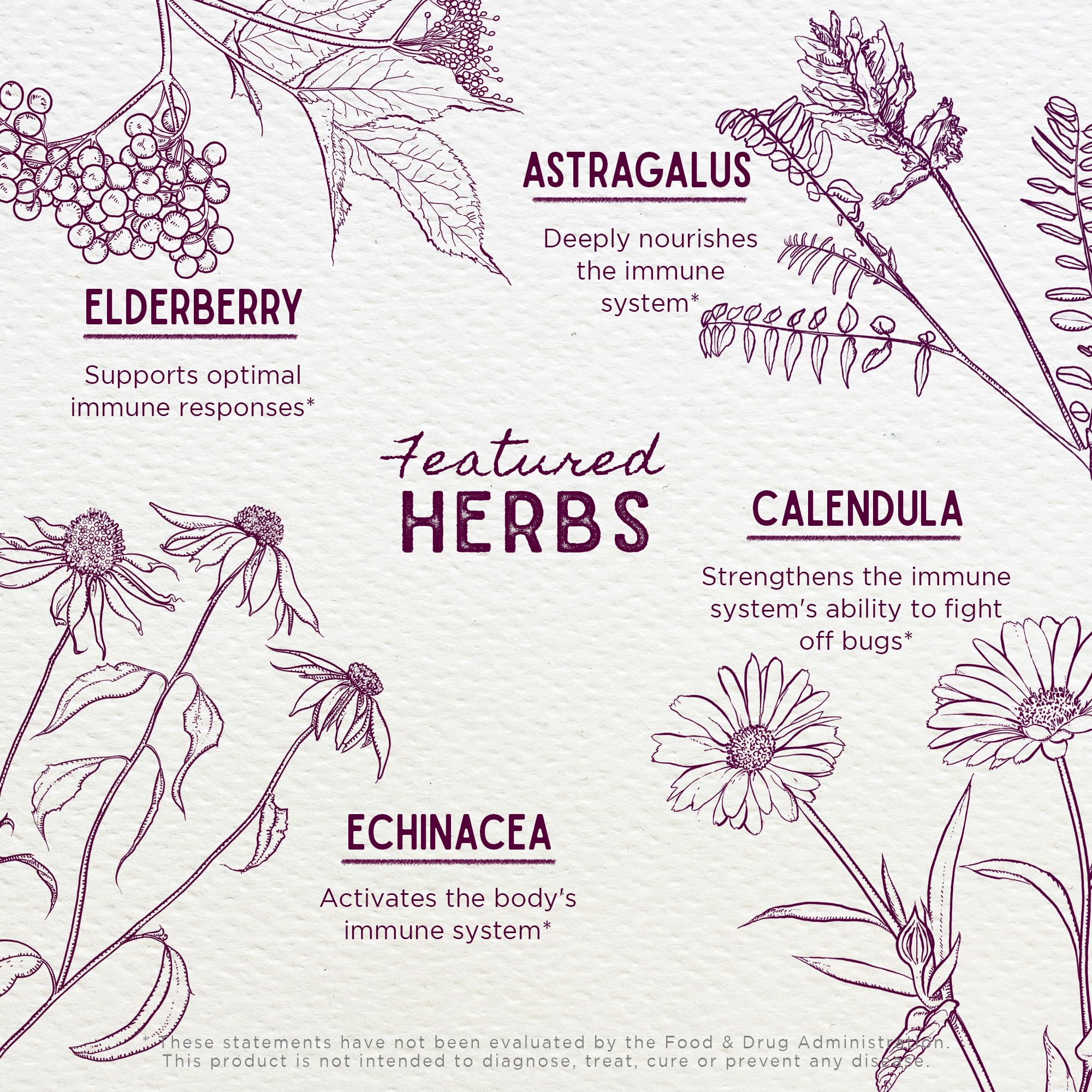 Organic and wild-harvested herbs for kid immune support