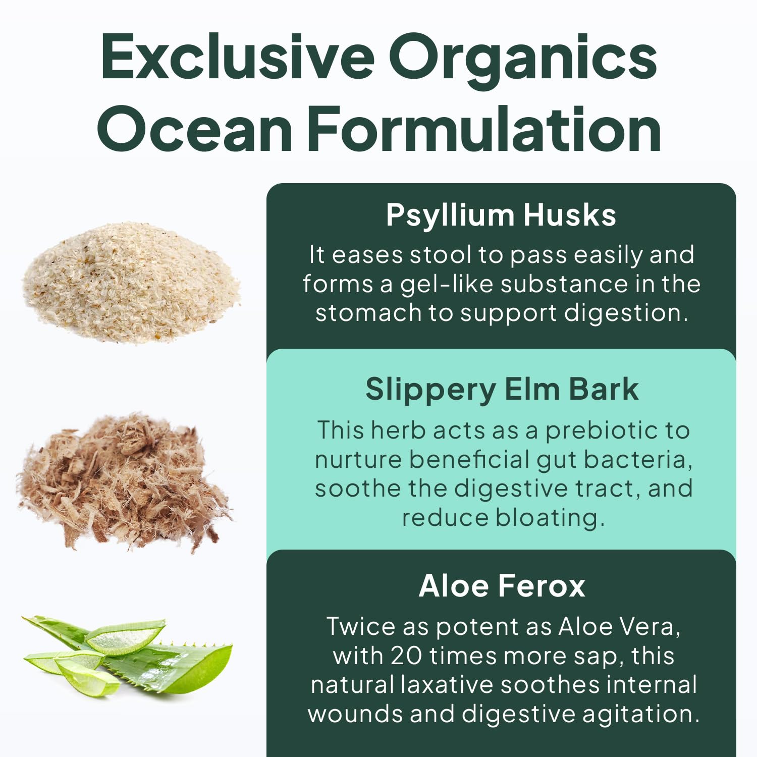 Aloe ferox plant used in Organics Ocean Better Fiber formula