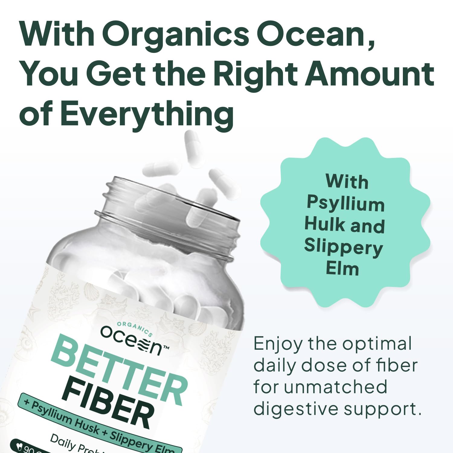 Close-up of psyllium husk ingredient in Organics Ocean Better Fiber