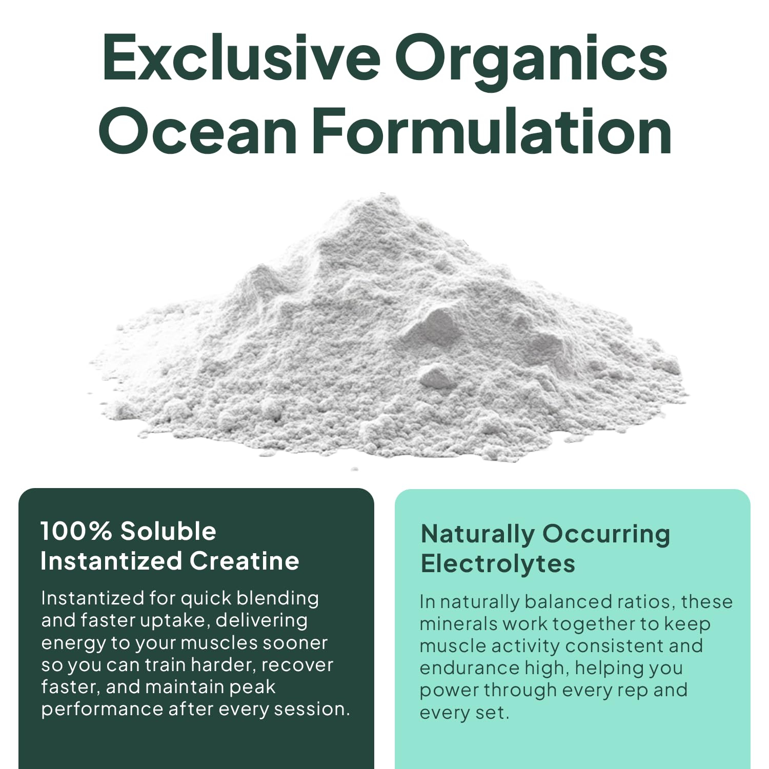 Nutrition label close-up on Krealyte Fusion bottle