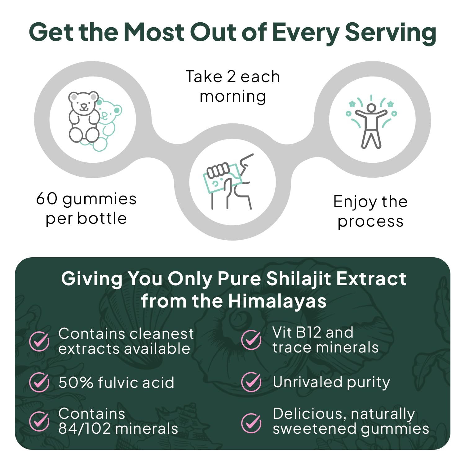 Organics Ocean Shilajit Gummies product packaging and label